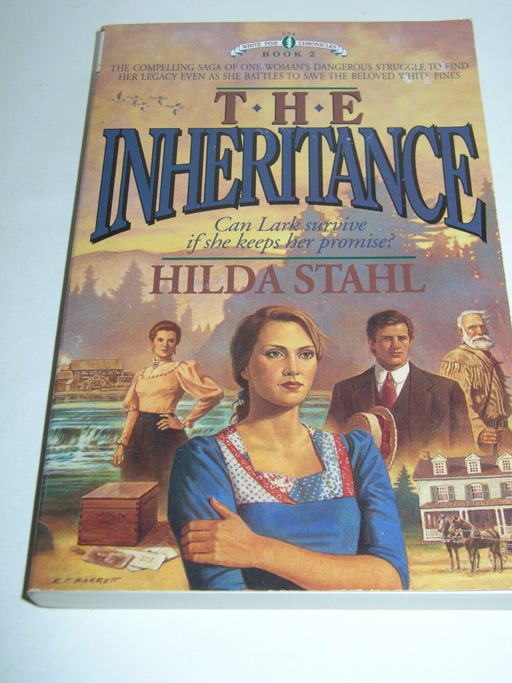 "The Inheritance" Novel Book by HIlda Stahl  The White Pine Chronicles New 51